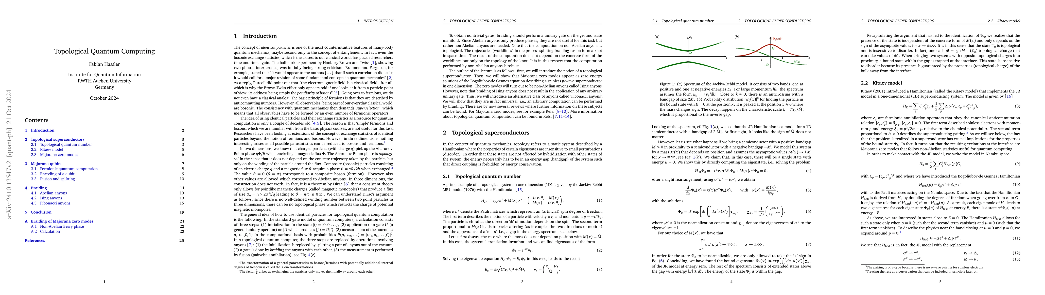 Thumbnail for Topological quantum computing