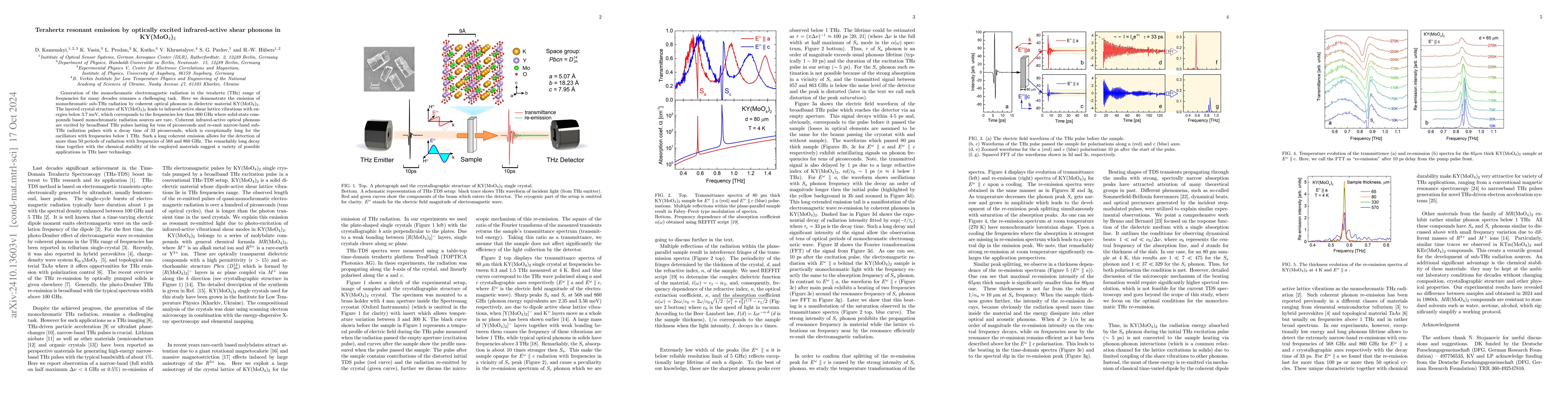 Thumbnail for Terahertz resonant emission by optically excited infrared-active shear
  phonons in KY(MoO4)2