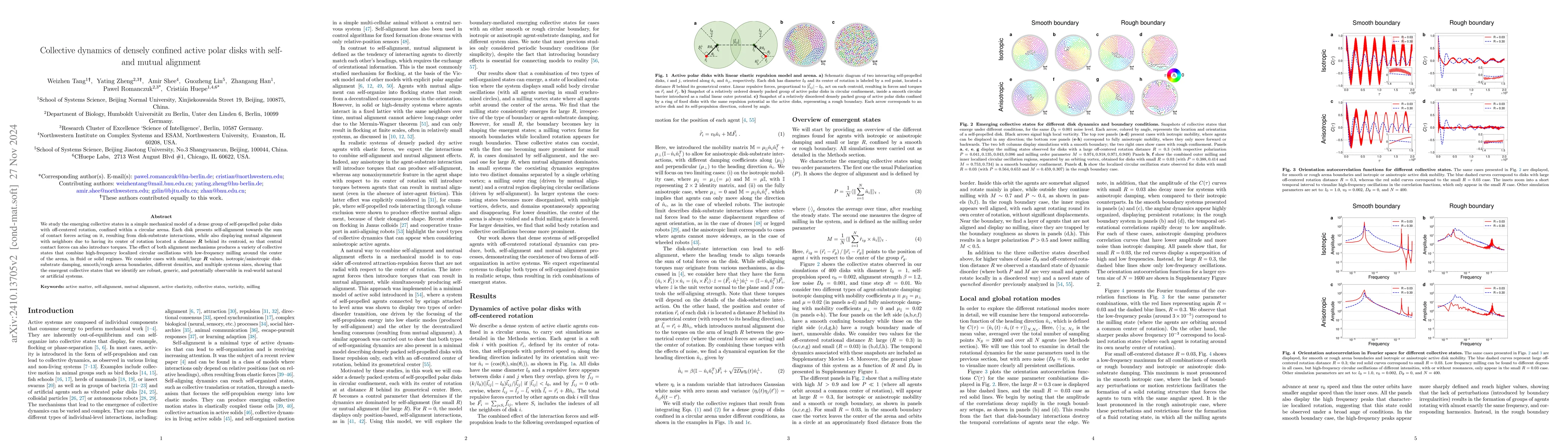 Thumbnail for Collective dynamics of densely confined active polar disks with self-
  and mutual alignment
