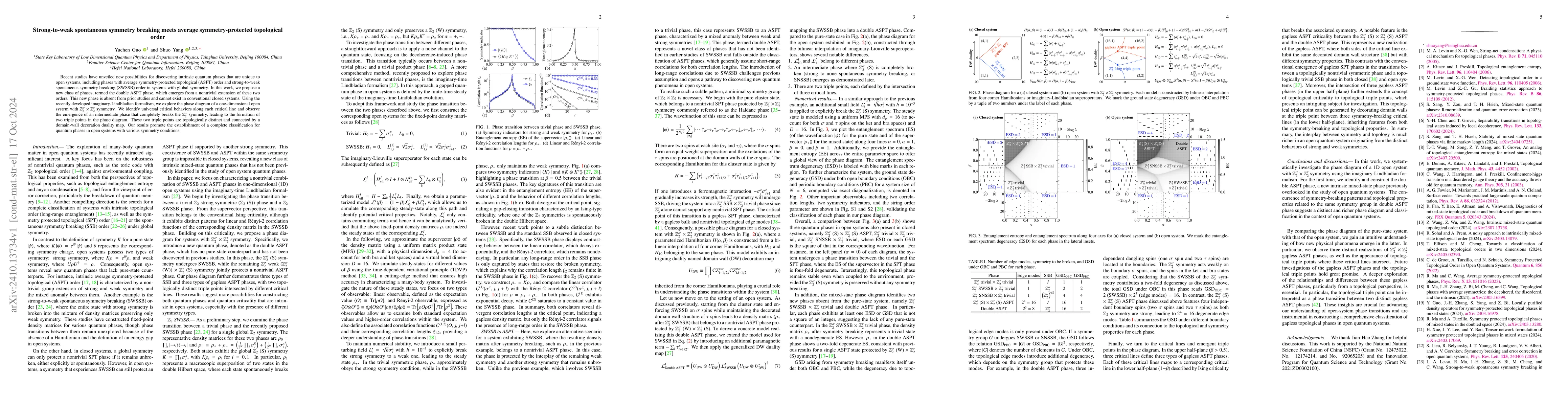 Thumbnail for Strong-to-weak spontaneous symmetry breaking meets average
  symmetry-protected topological order