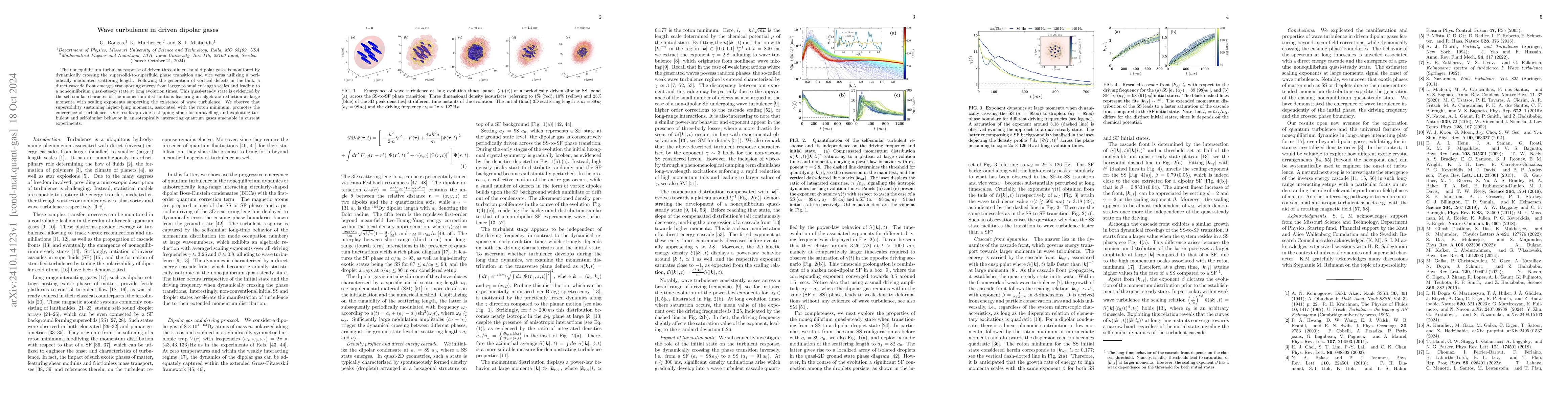 Thumbnail for Wave turbulence in driven dipolar gases