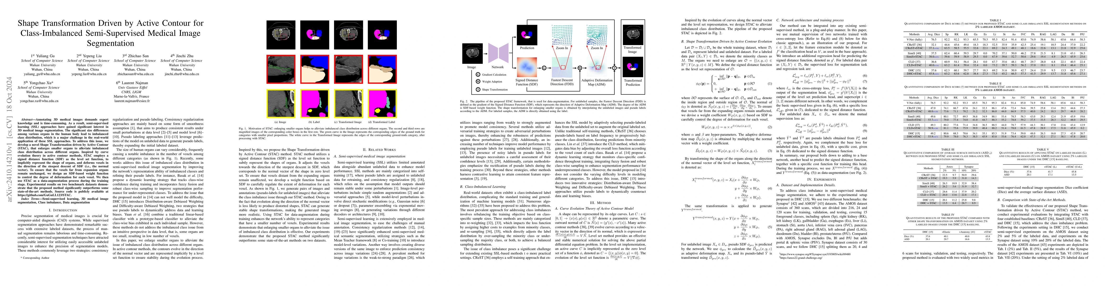 Thumbnail for Shape Transformation Driven by Active Contour for Class-Imbalanced
  Semi-Supervised Medical Image Segmentation