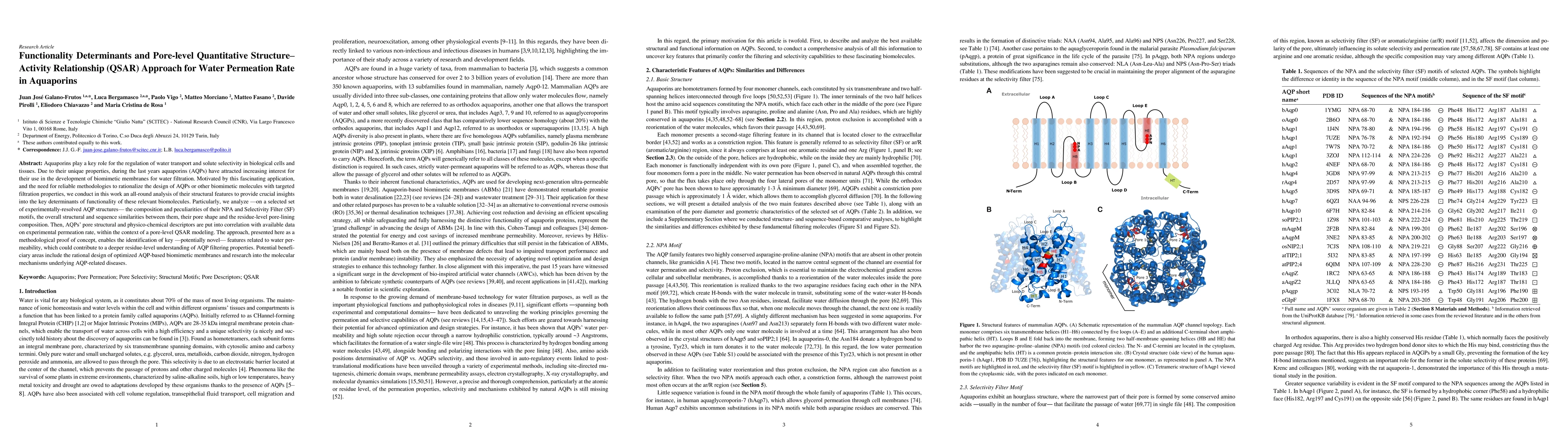 Thumbnail for Functionality Determinants and Pore-level Quantitative
  Structure-Activity Relationship (QSAR) Approach for Water Permeation Rate in
  Aquaporins