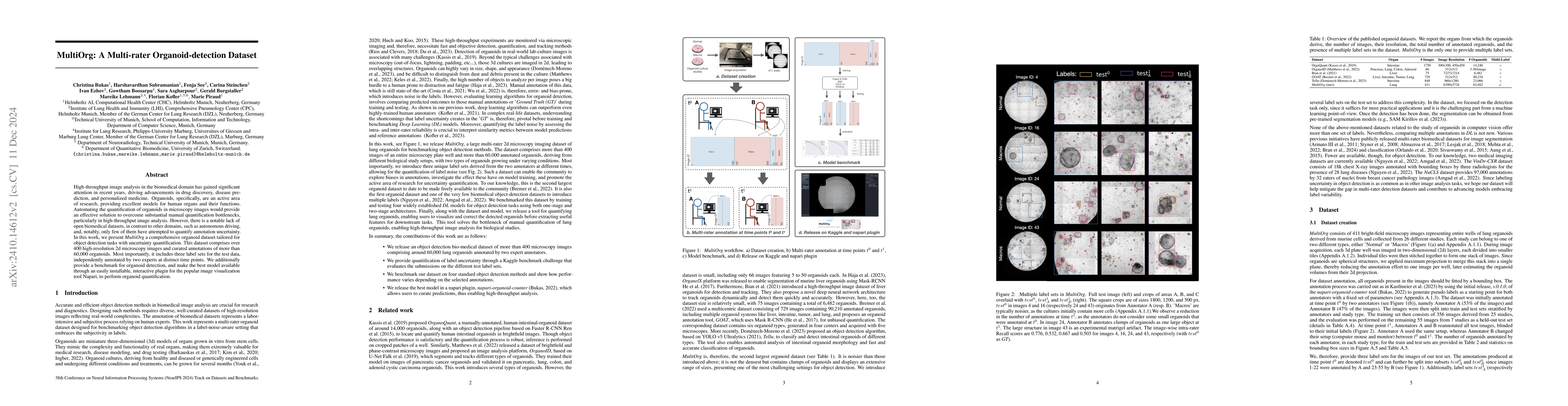 Thumbnail for MultiOrg: A Multi-rater Organoid-detection Dataset
