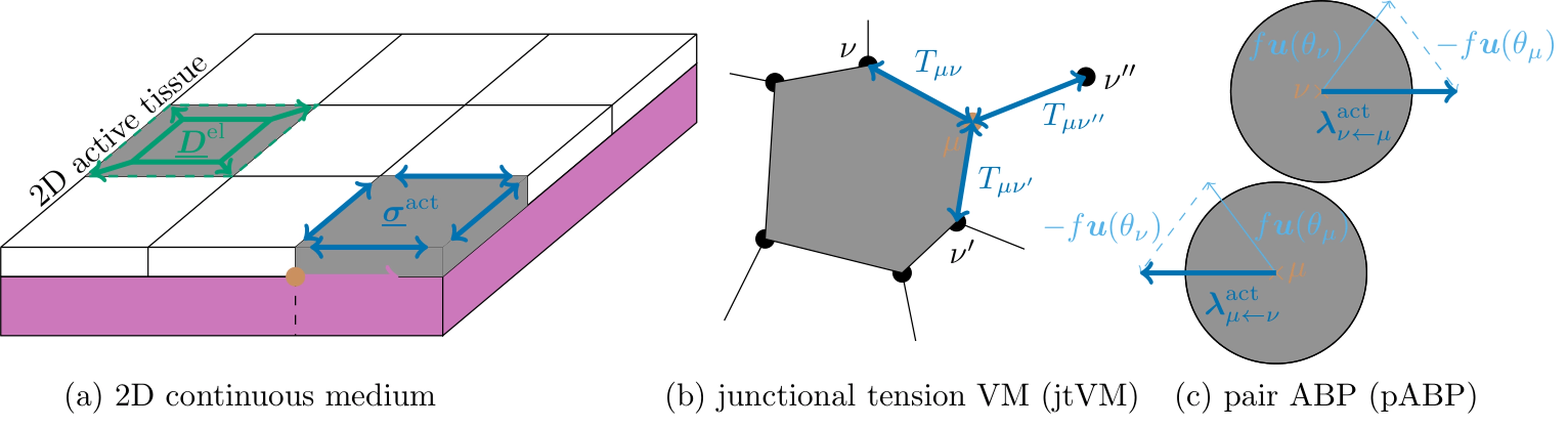 Thumbnail for Long-range order in two-dimensional systems with fluctuating active
  stresses