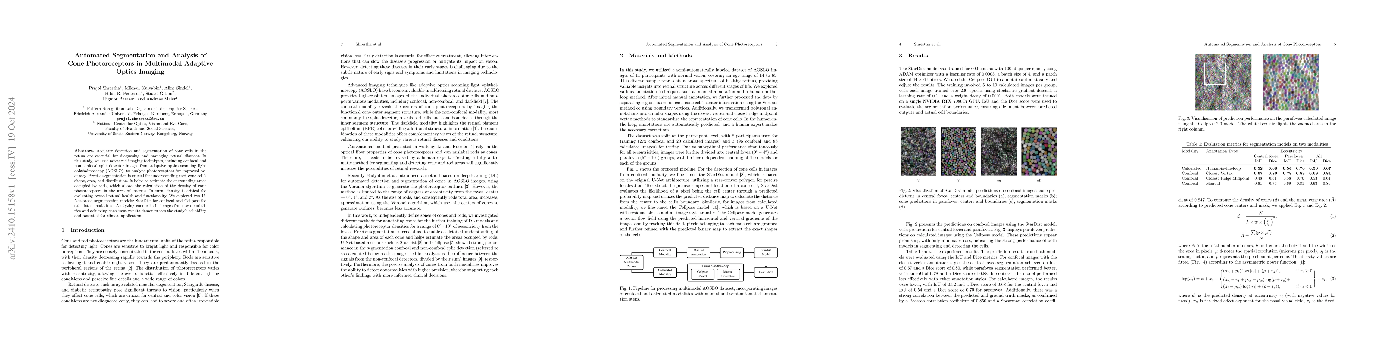 Thumbnail for Automated Segmentation and Analysis of Cone Photoreceptors in Multimodal
  Adaptive Optics Imaging