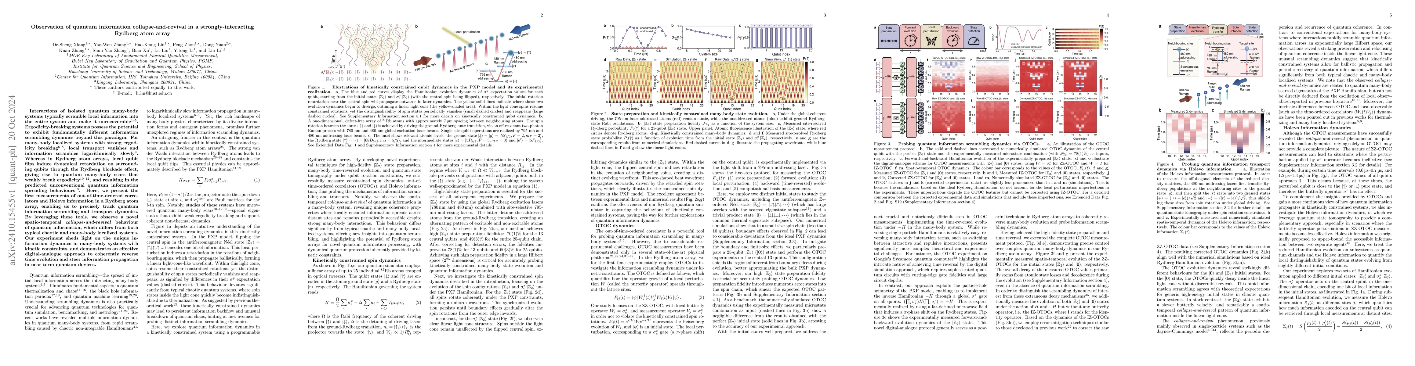 Thumbnail for Observation of quantum information collapse-and-revival in a
  strongly-interacting Rydberg atom array