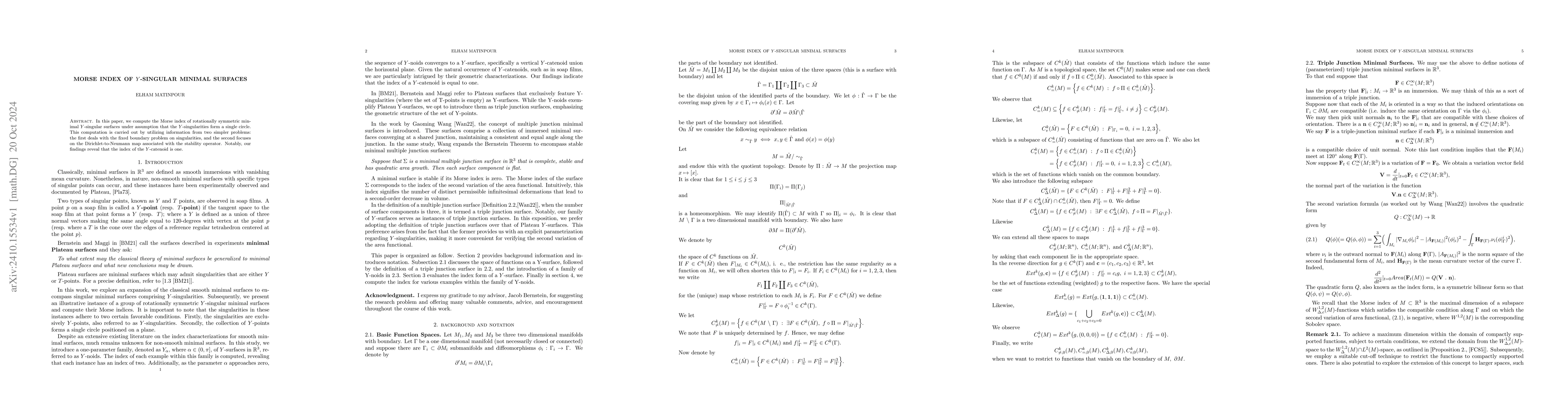 Thumbnail for Morse index of y-singular minimal surfaces