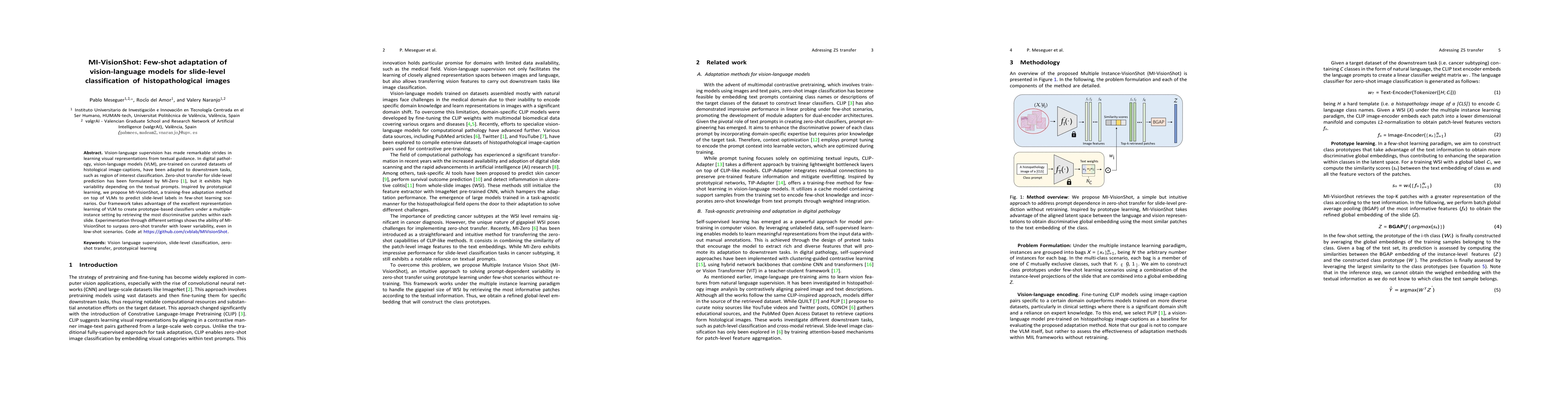 Thumbnail for MI-VisionShot: Few-shot adaptation of vision-language models for
  slide-level classification of histopathological images