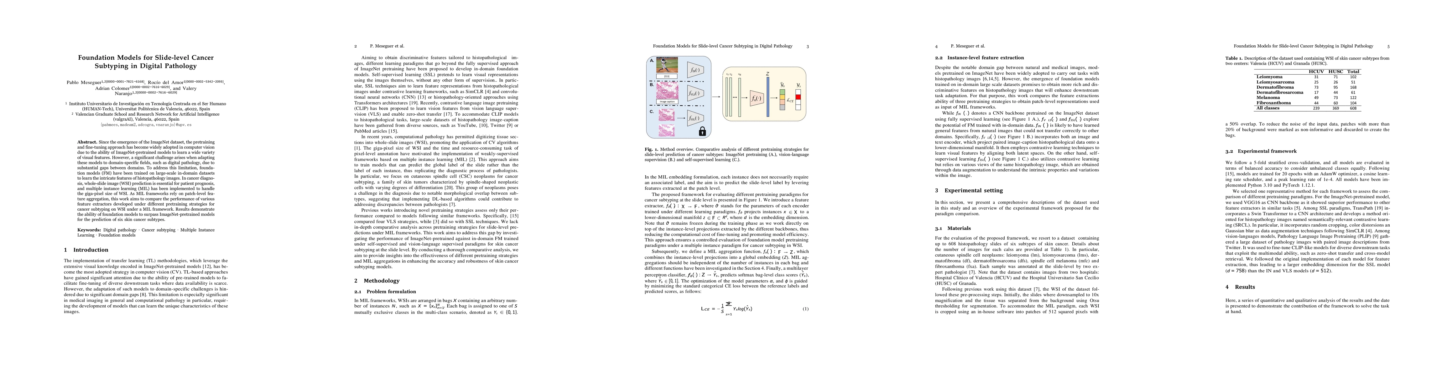 Thumbnail for Foundation Models for Slide-level Cancer Subtyping in Digital Pathology