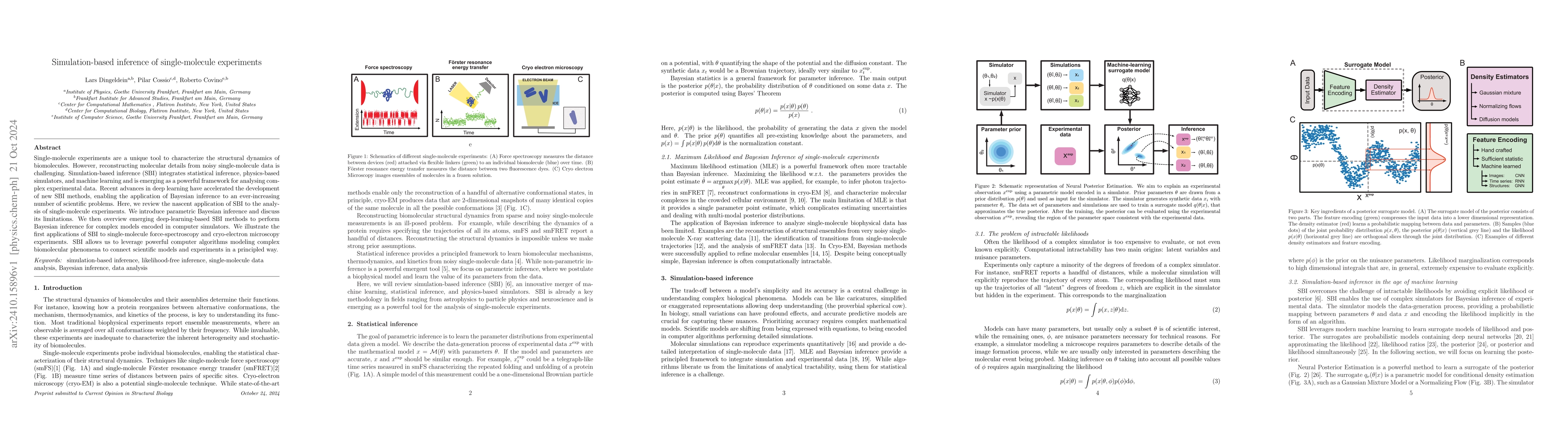 Thumbnail for Simulation-based inference of single-molecule experiments