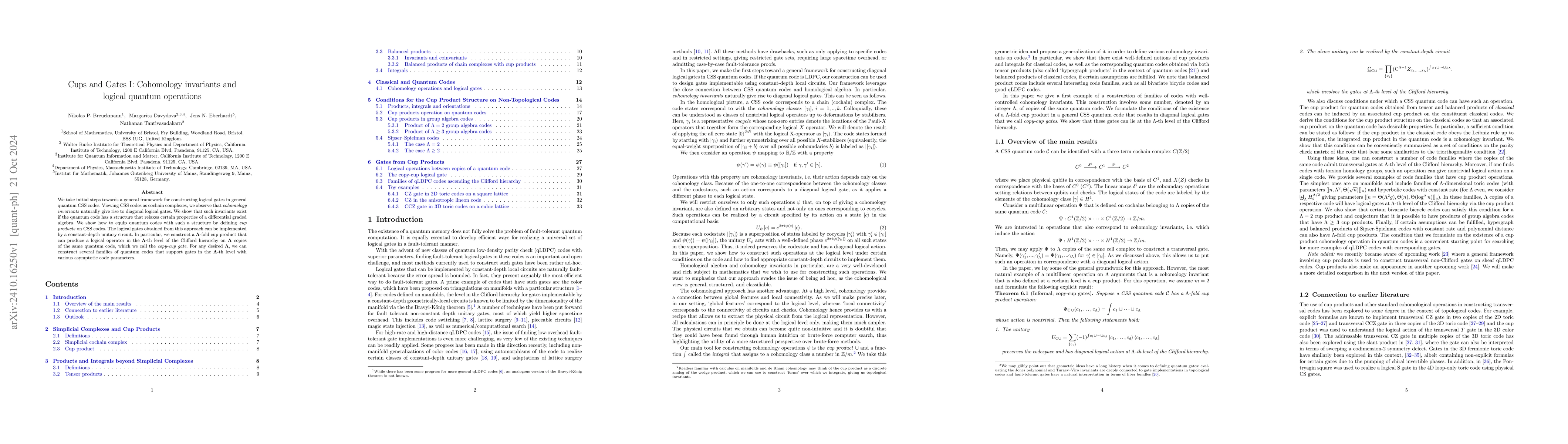 Thumbnail for Cups and Gates I: Cohomology invariants and logical quantum operations