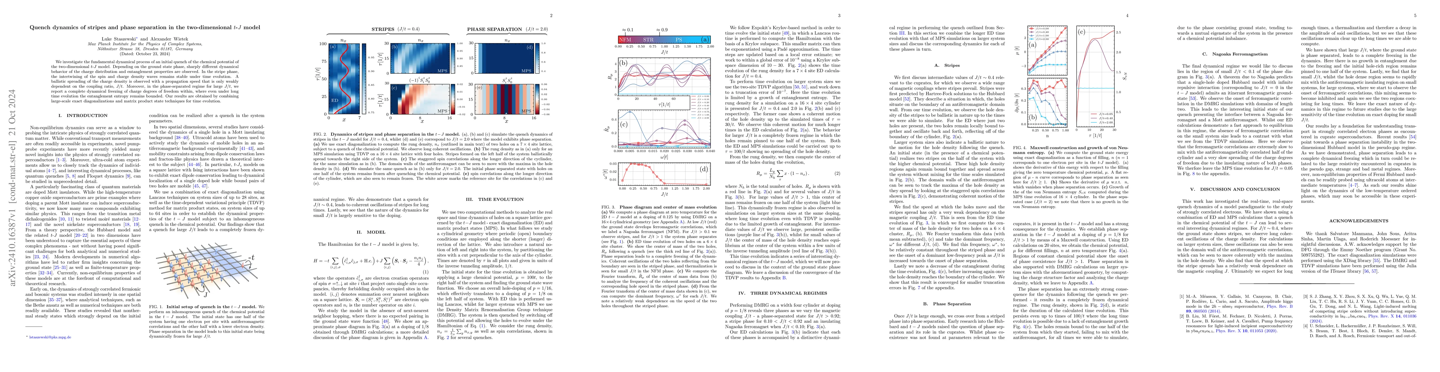 Thumbnail for Quench dynamics of stripes and phase separation in the two-dimensional
  $t$-$J$ model