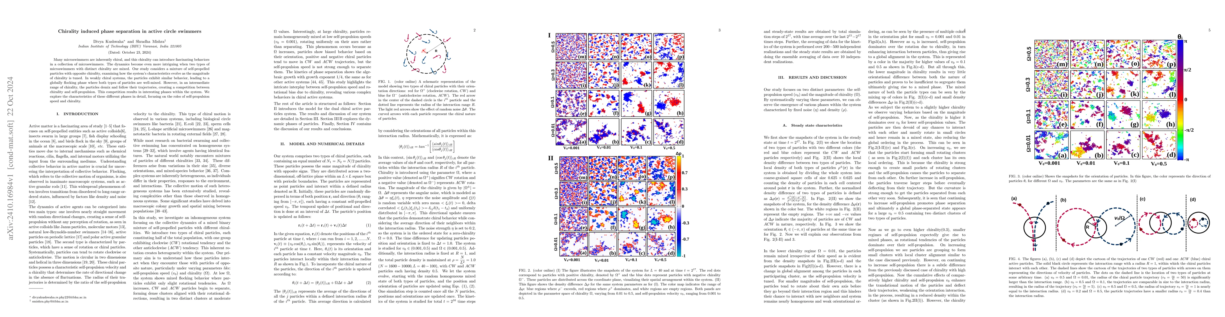 Thumbnail for Chirality induced phase separation in active circle swimmers