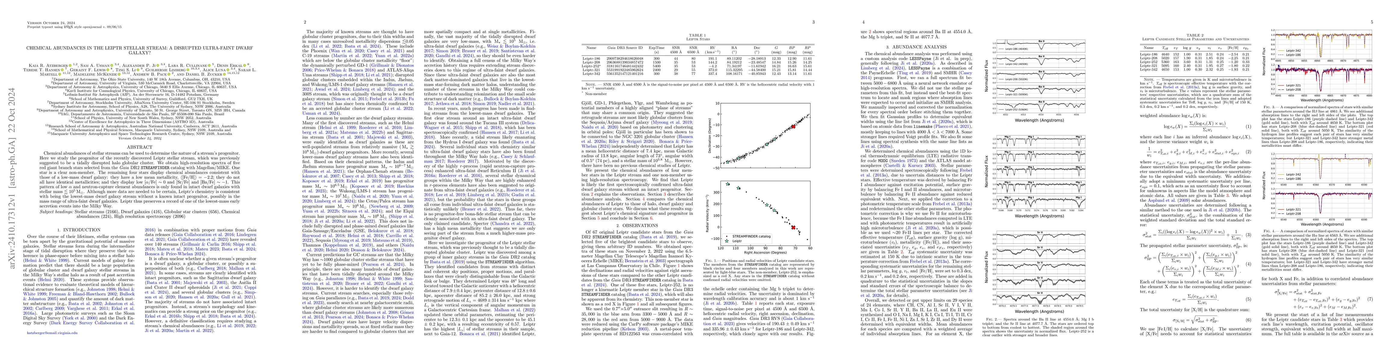 Thumbnail for Chemical Abundances in the Leiptr Stellar Stream: A Disrupted
  Ultra-faint Dwarf Galaxy?