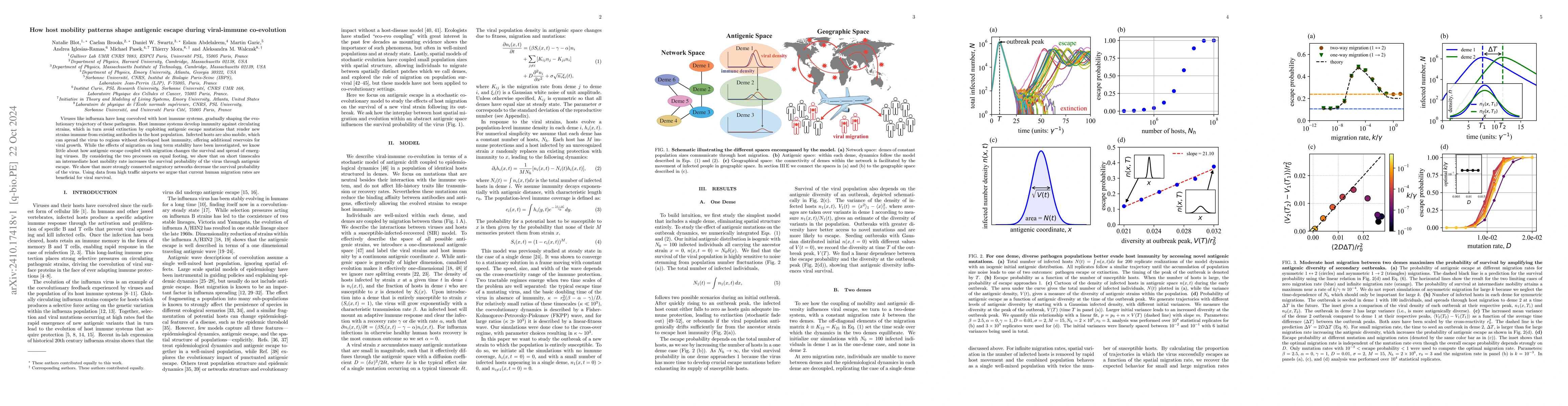 Thumbnail for How host mobility patterns shape antigenic escape during viral-immune
  co-evolution
