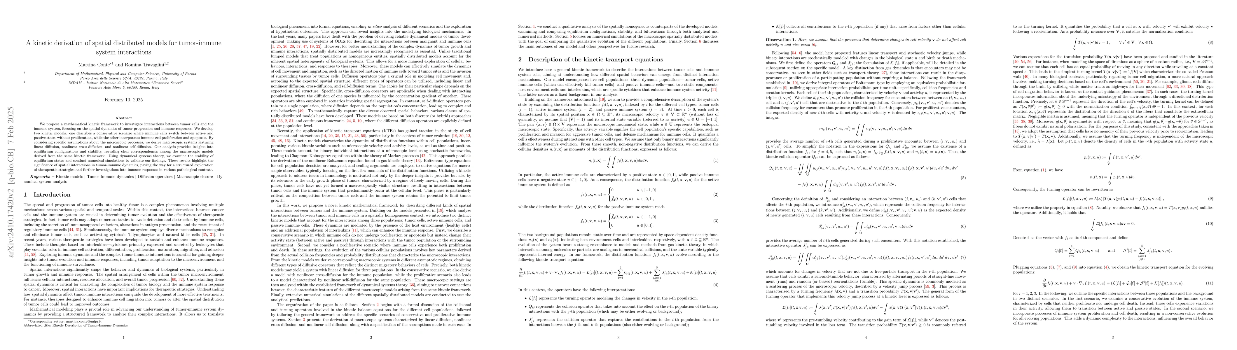 Thumbnail for A kinetic derivation of spatial distributed models for tumor-immune
  system interactions