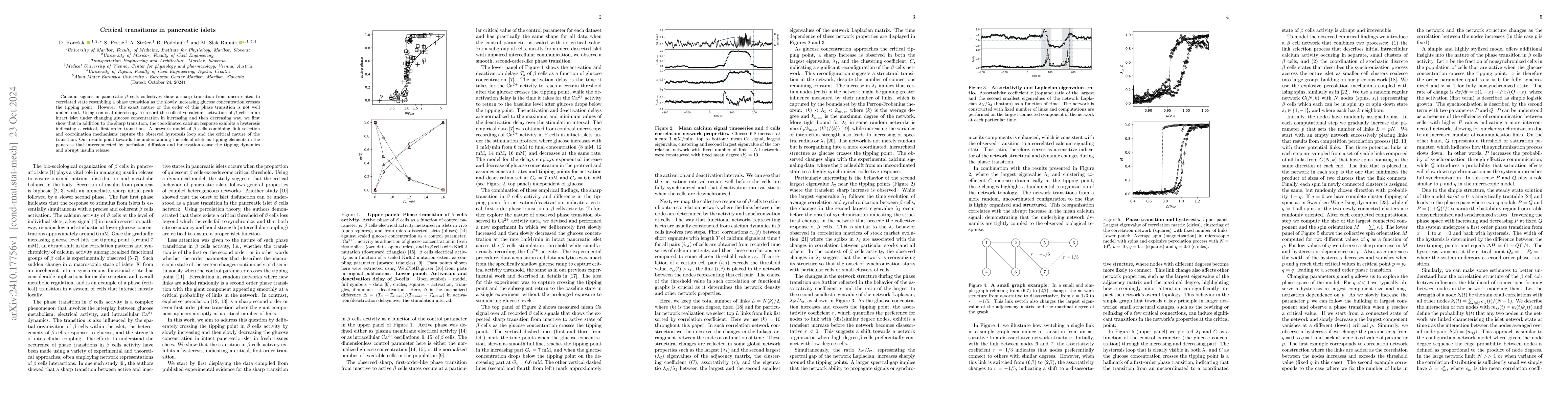 Thumbnail for Critical transitions in pancreatic islets