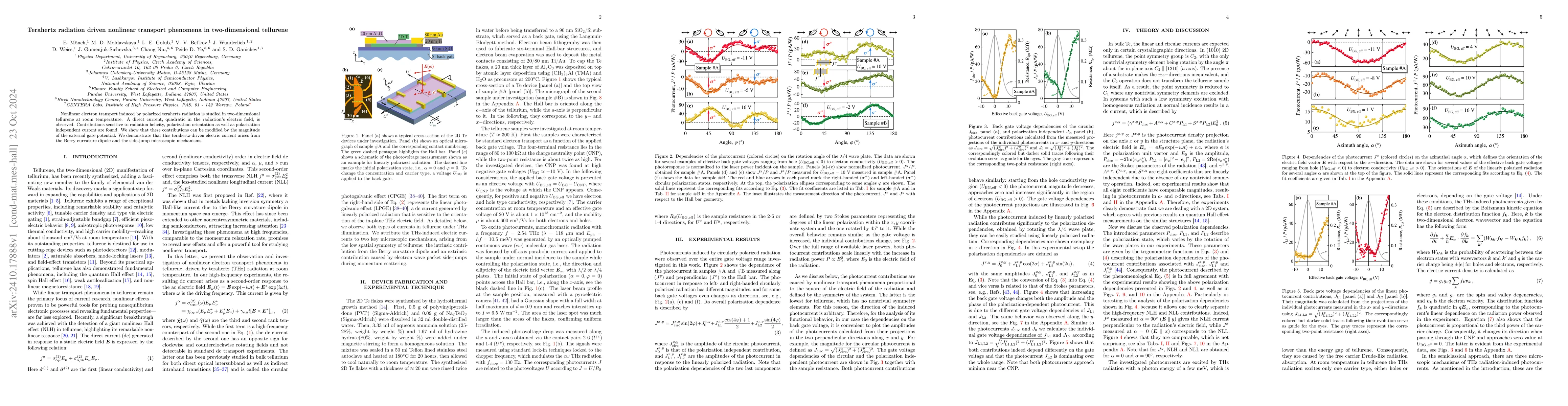 Thumbnail for Terahertz radiation driven nonlinear transport phenomena in
  two-dimensional tellurene