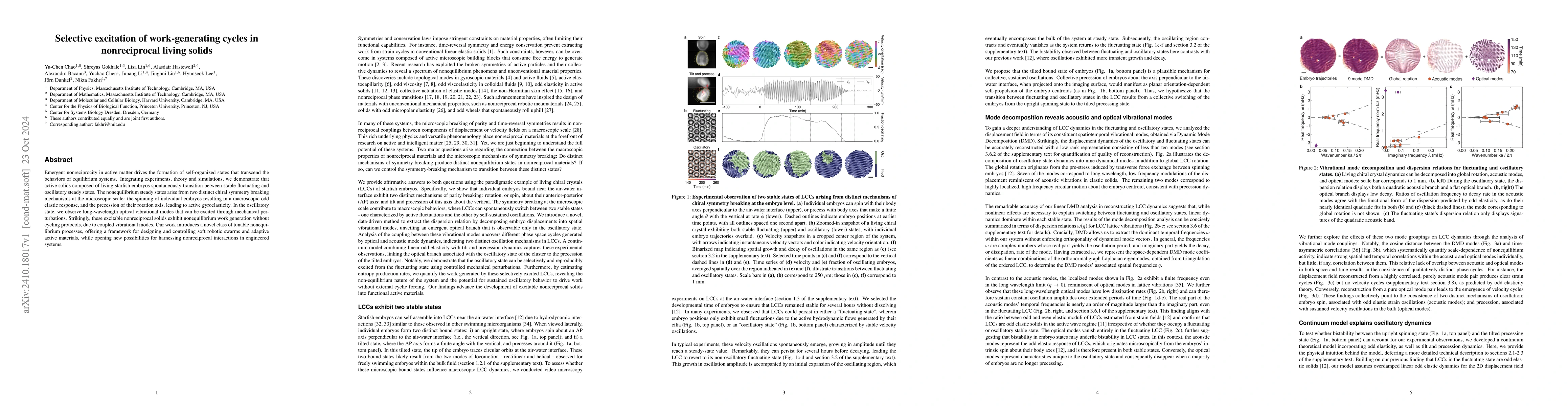 Thumbnail for Selective excitation of work-generating cycles in nonreciprocal living
  solids