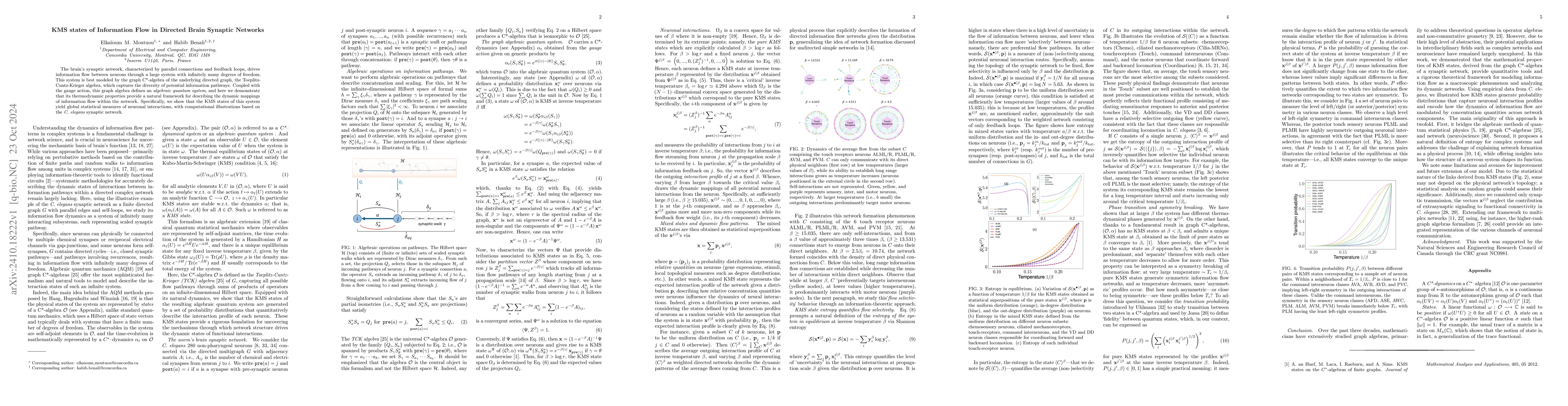 Thumbnail for KMS states of Information Flow in Directed Brain Synaptic Networks