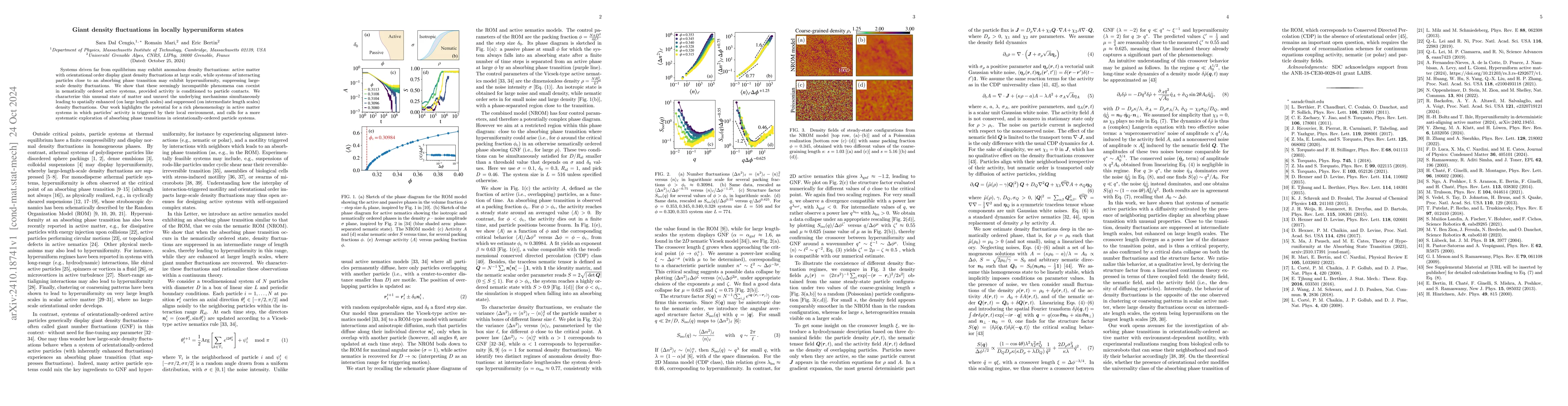 Thumbnail for Giant density fluctuations in locally hyperuniform states