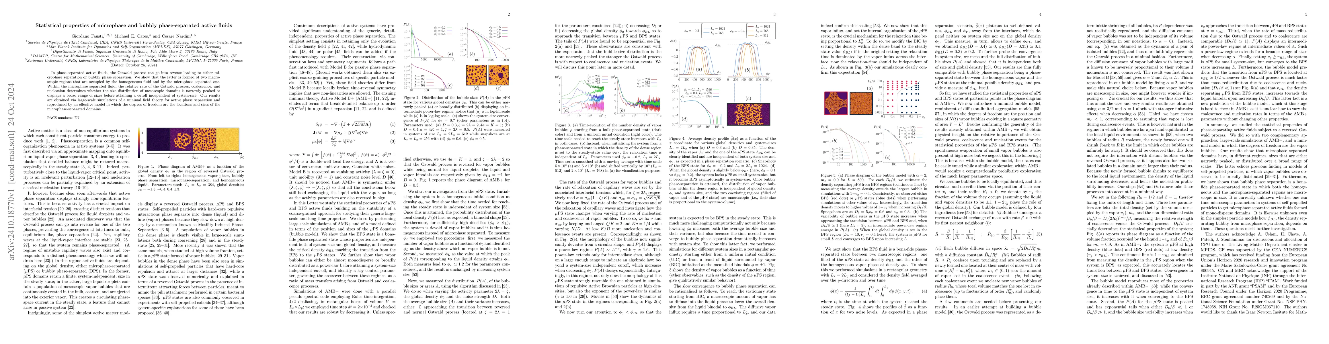 Thumbnail for Statistical properties of microphase and bubbly phase-separated active
  fluids