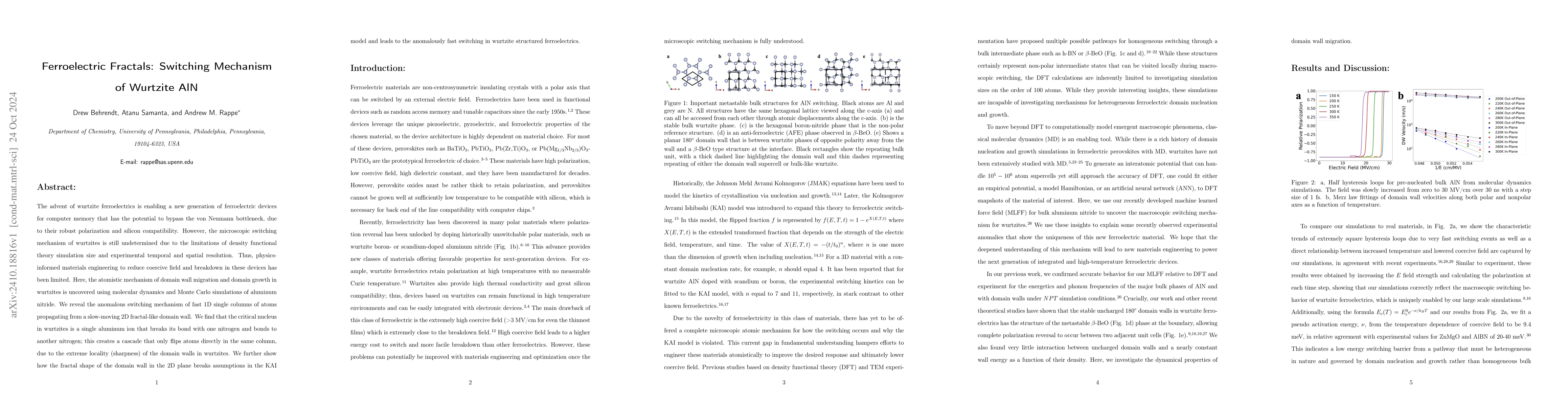 Thumbnail for Ferroelectric Fractals: Switching Mechanism of Wurtzite AlN