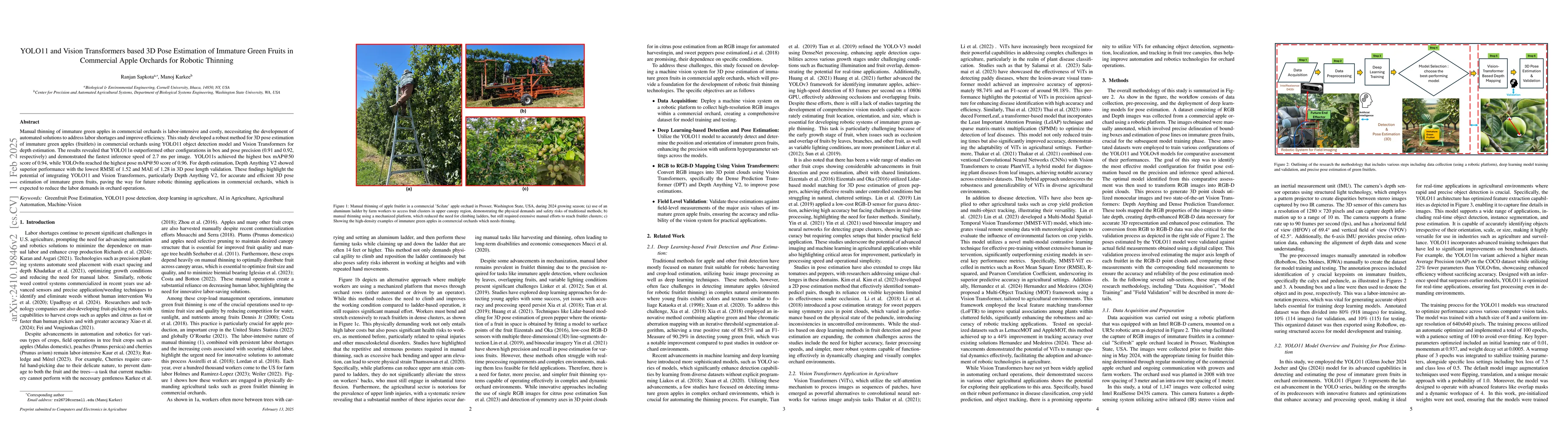 Thumbnail for YOLO11 and Vision Transformers based 3D Pose Estimation of Immature
  Green Fruits in Commercial Apple Orchards for Robotic Thinning