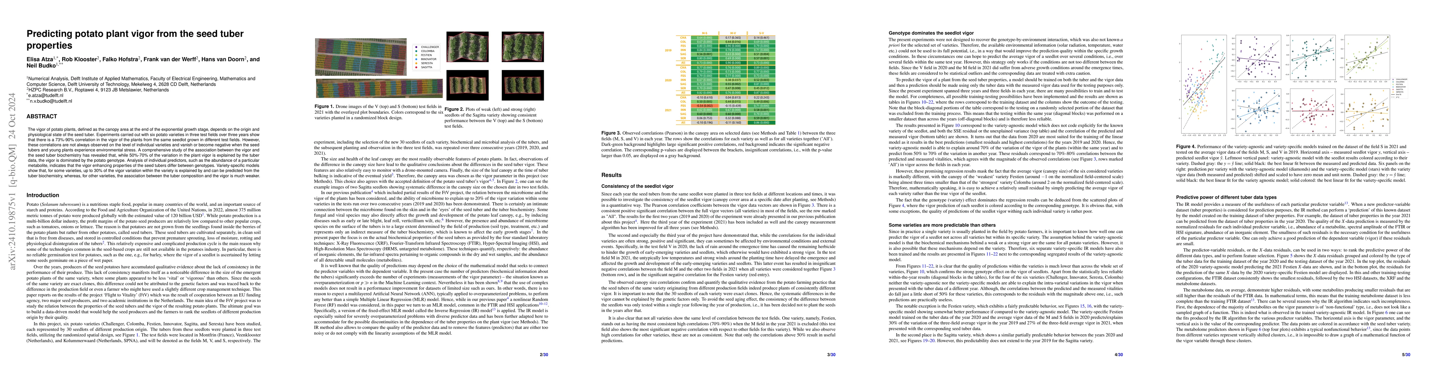 Thumbnail for Predicting potato plant vigor from the seed tuber properties