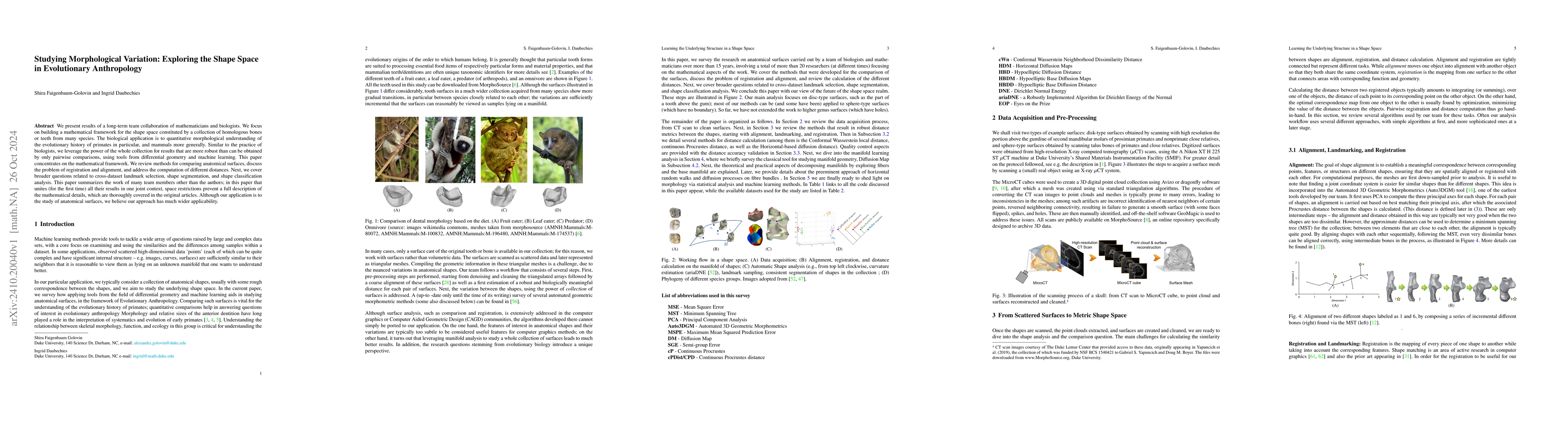 Thumbnail for Studying Morphological Variation: Exploring the Shape Space in
  Evolutionary Anthropology