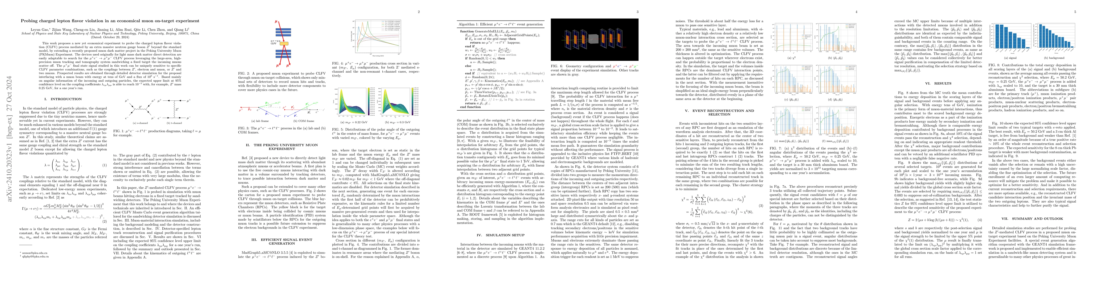 Thumbnail for Probing charged lepton flavor violation in an economical muon on-target
  experiment