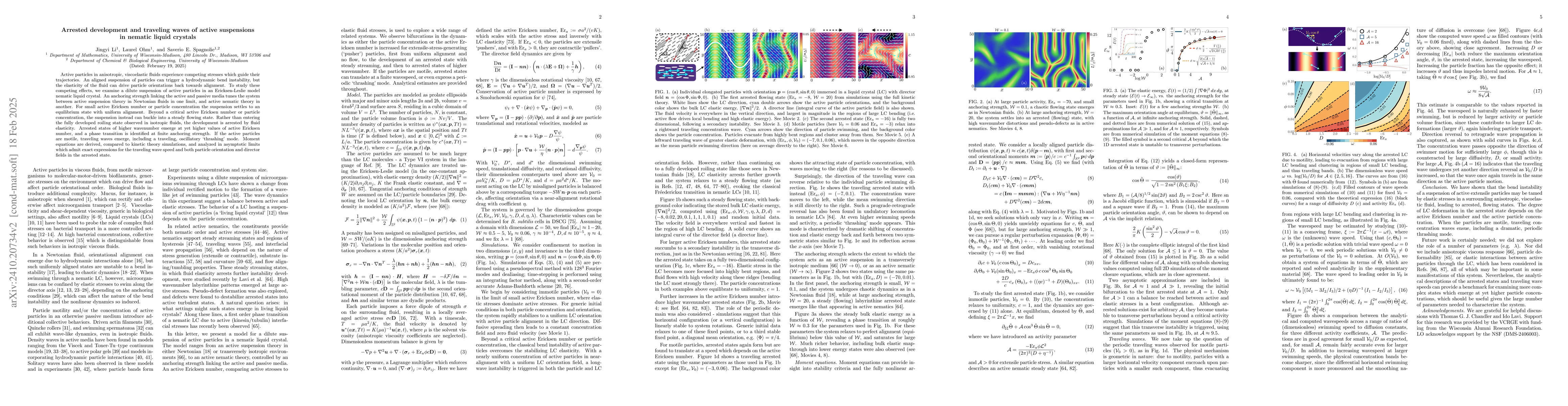 Thumbnail for Arrested development and traveling waves of active suspensions in
  nematic liquid crystals