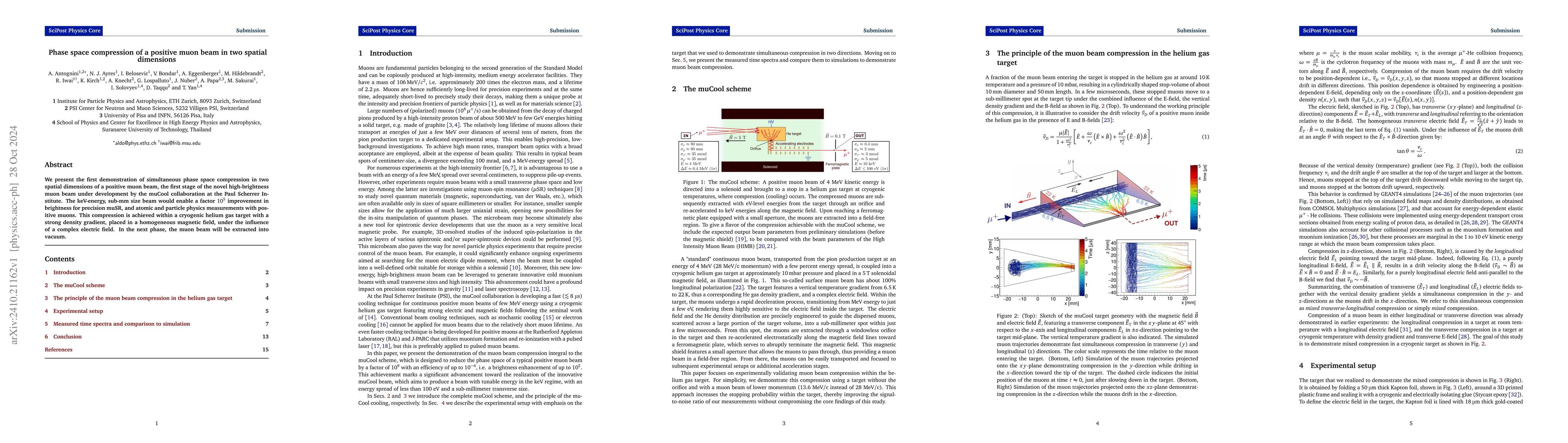 Thumbnail for Phase space compression of a positive muon beam in two spatial
  dimensions