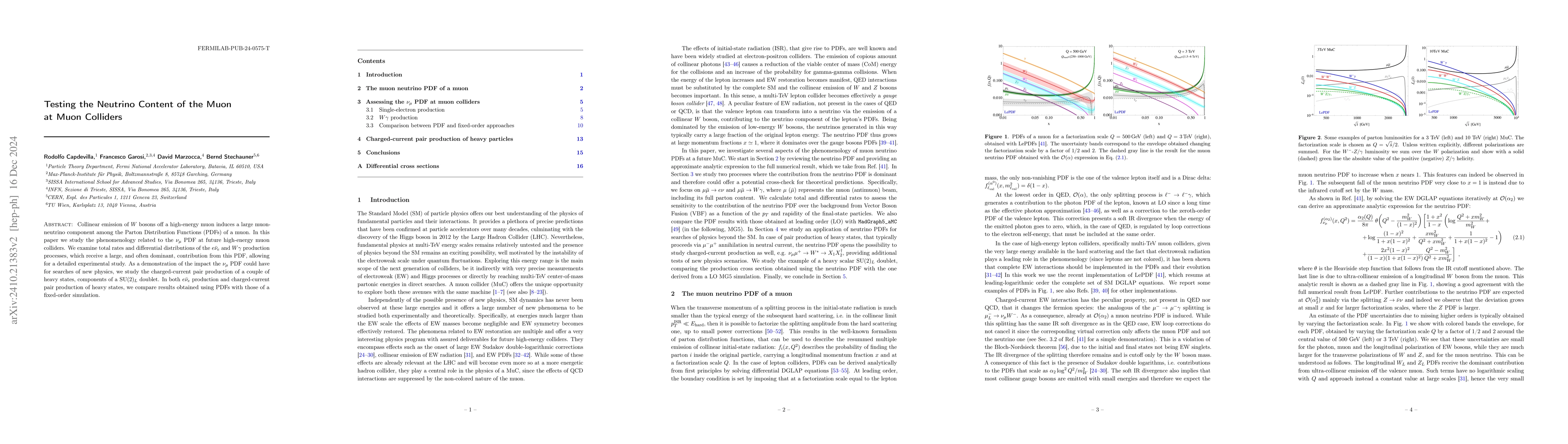 Thumbnail for Testing the Neutrino Content of the Muon at Muon Colliders