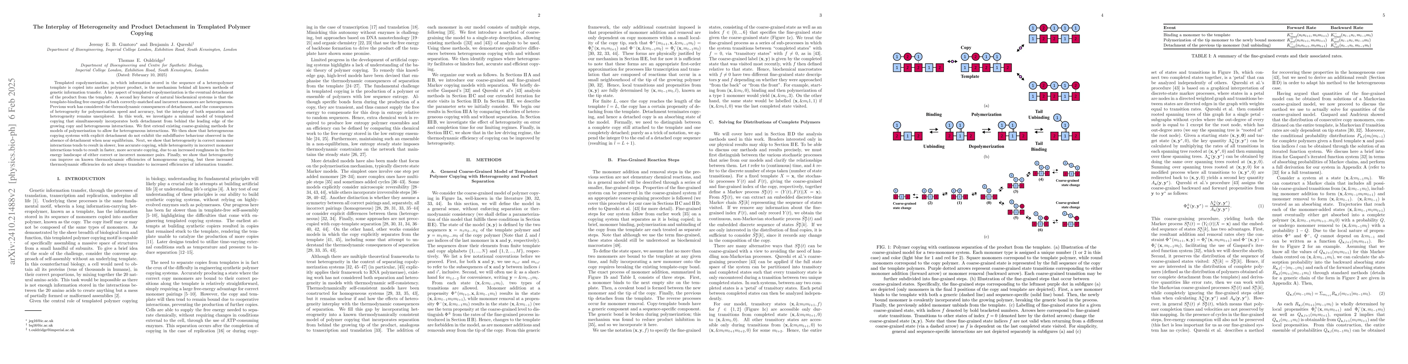 Thumbnail for The Interplay of Heterogeneity and Product Detachment in Templated
  Polymer Copying