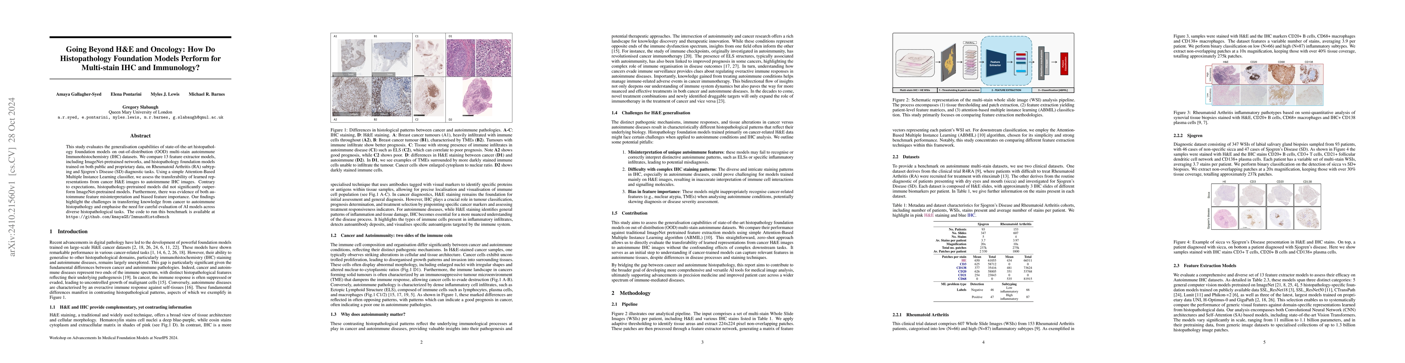 Thumbnail for Going Beyond H&E and Oncology: How Do Histopathology Foundation Models
  Perform for Multi-stain IHC and Immunology?
