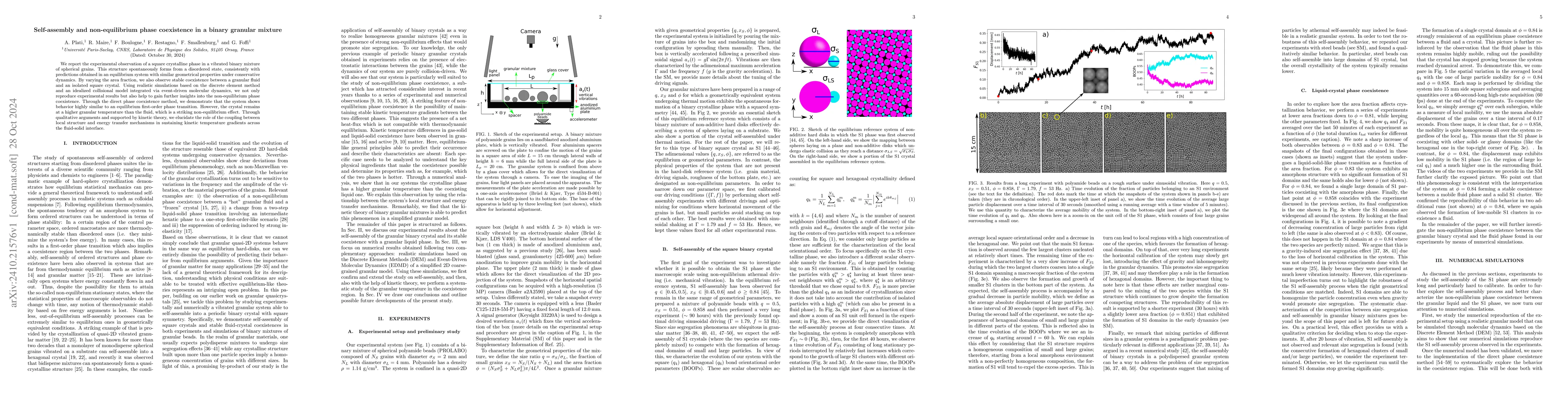 Thumbnail for Self-assembly and non-equilibrium phase coexistence in a binary granular
  mixture