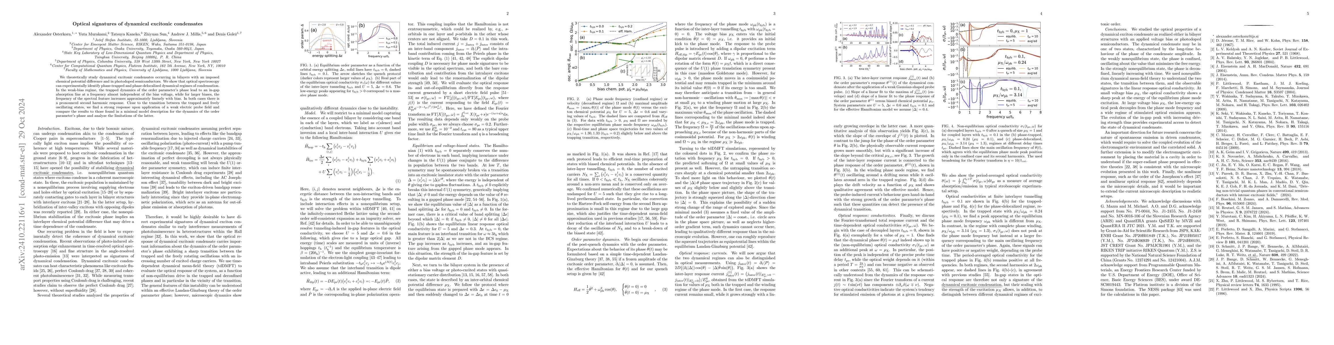 Thumbnail for Optical signatures of dynamical excitonic condensates