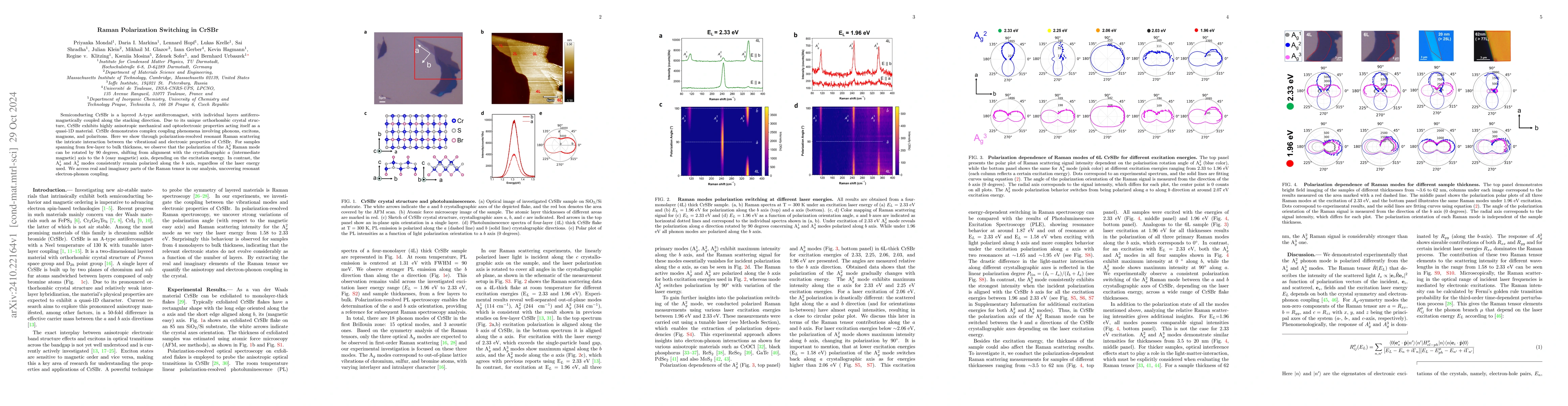 Thumbnail for Raman Polarization Switching in CrSBr
