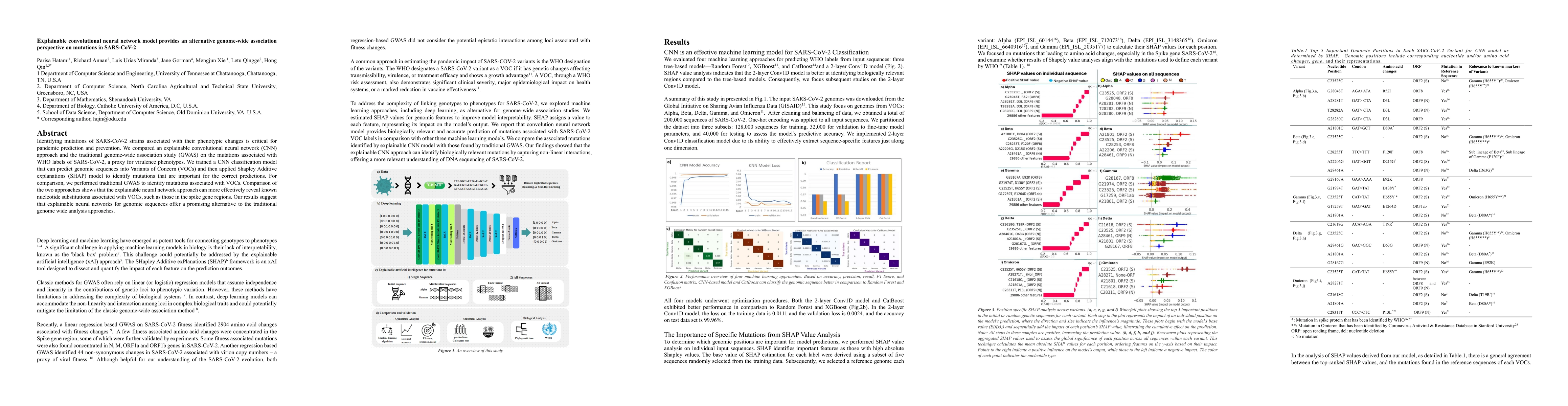 Thumbnail for Explainable convolutional neural network model provides an alternative
  genome-wide association perspective on mutations in SARS-CoV-2