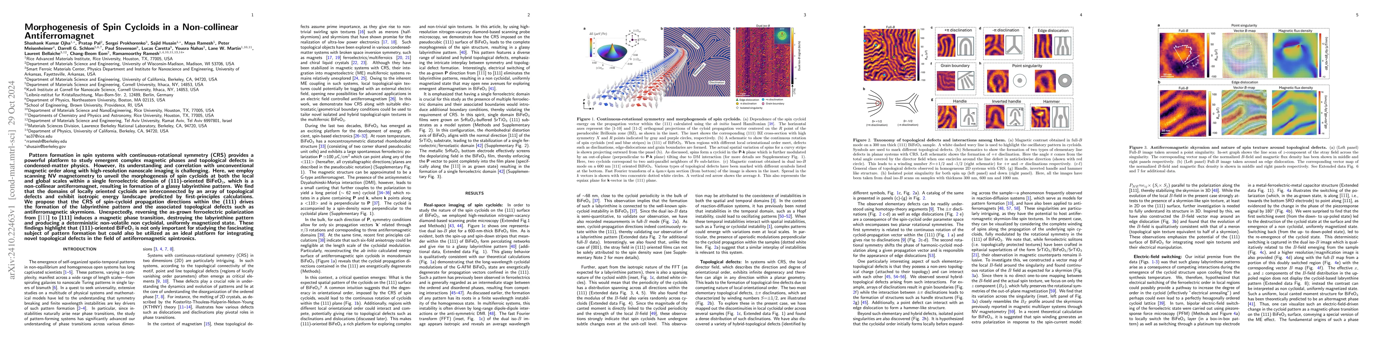 Thumbnail for Morphogenesis of Spin Cycloids in a Non-collinear Antiferromagnet
