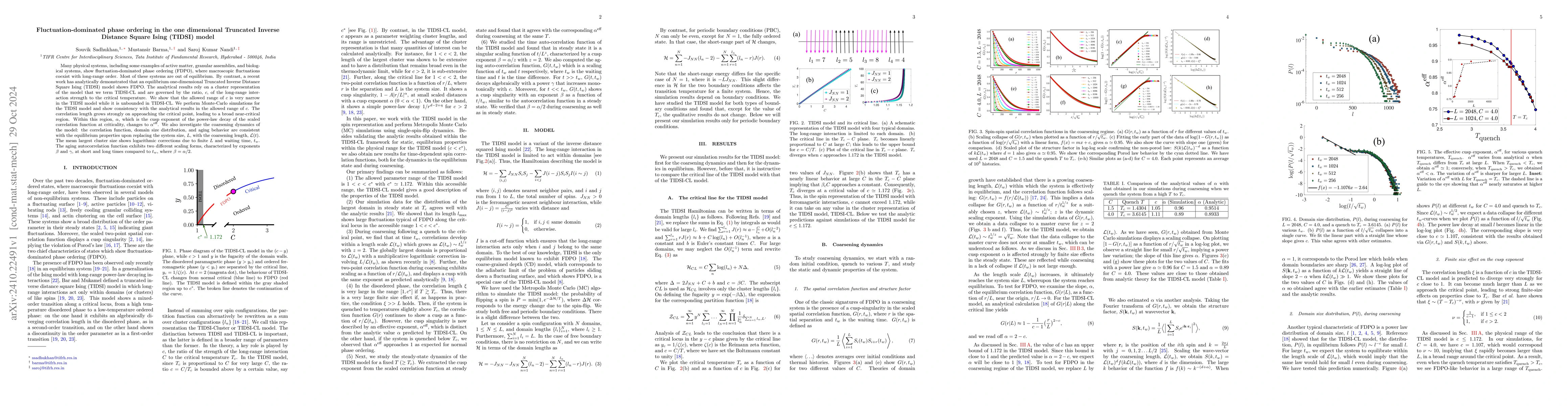 Thumbnail for Fluctuation-dominated phase ordering in the one dimensional Truncated
  Inverse Distance Square Ising (TIDSI) model