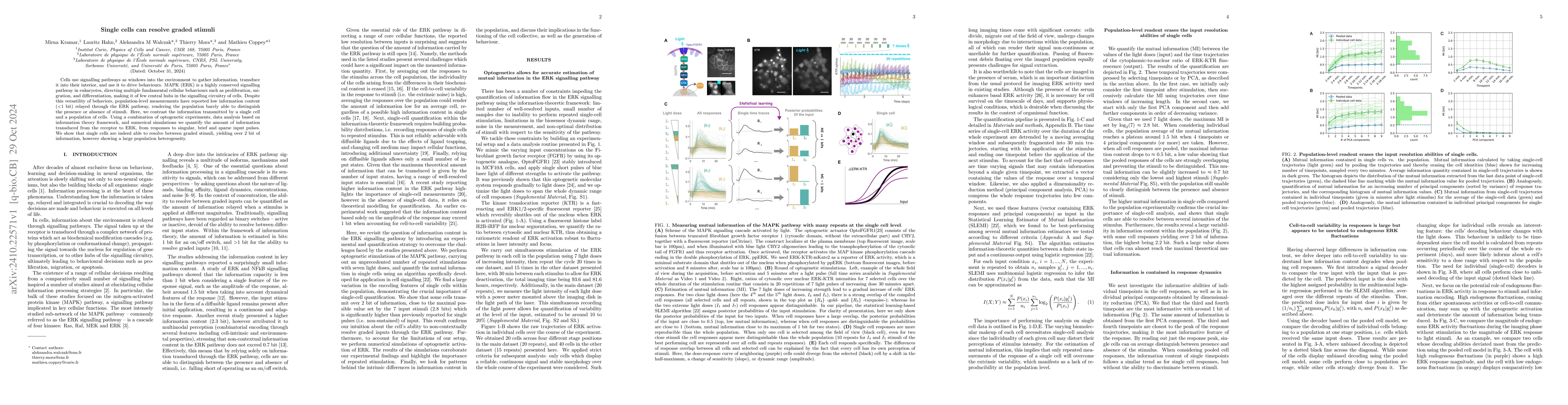 Thumbnail for Single cells can resolve graded stimuli