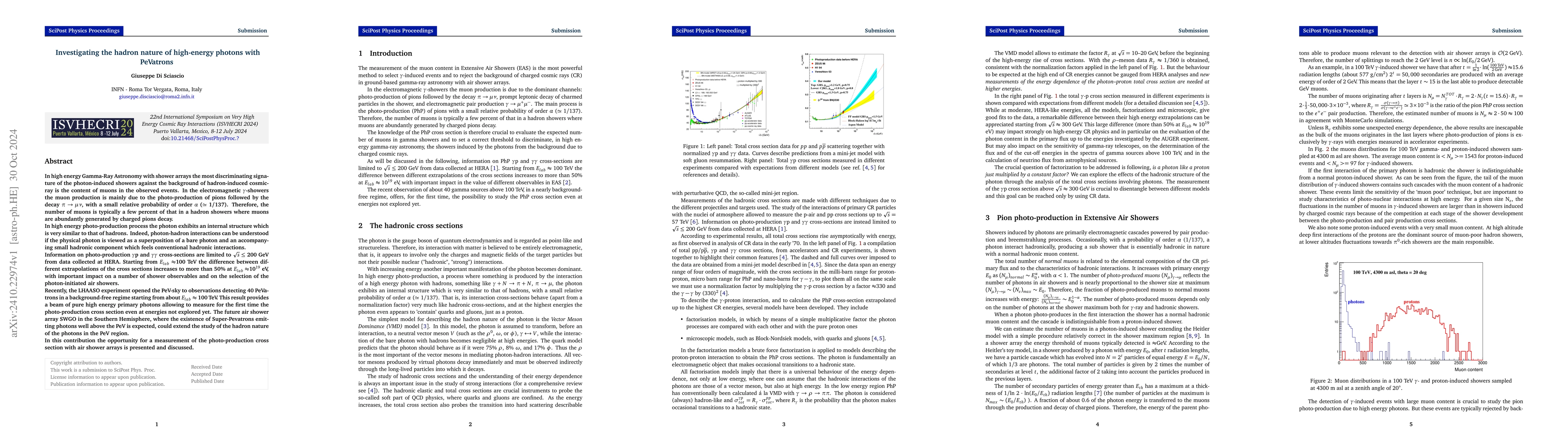 Thumbnail for Investigating the hadron nature of high-energy photons with PeVatrons