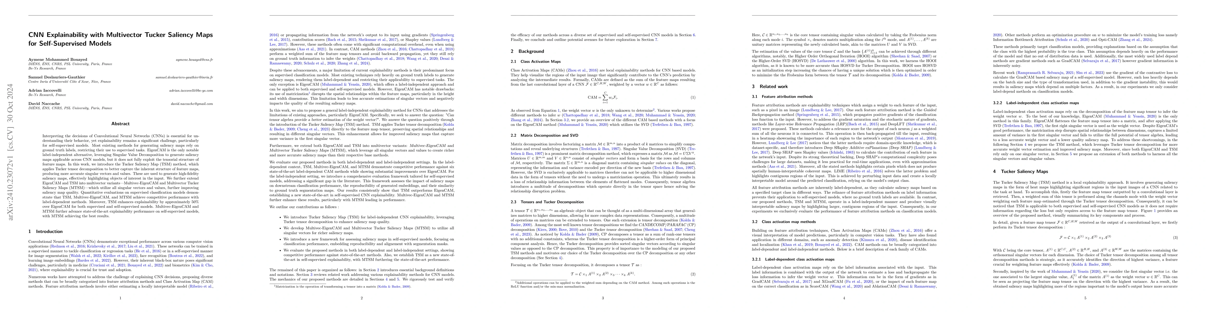 Thumbnail for CNN Explainability with Multivector Tucker Saliency Maps for
  Self-Supervised Models