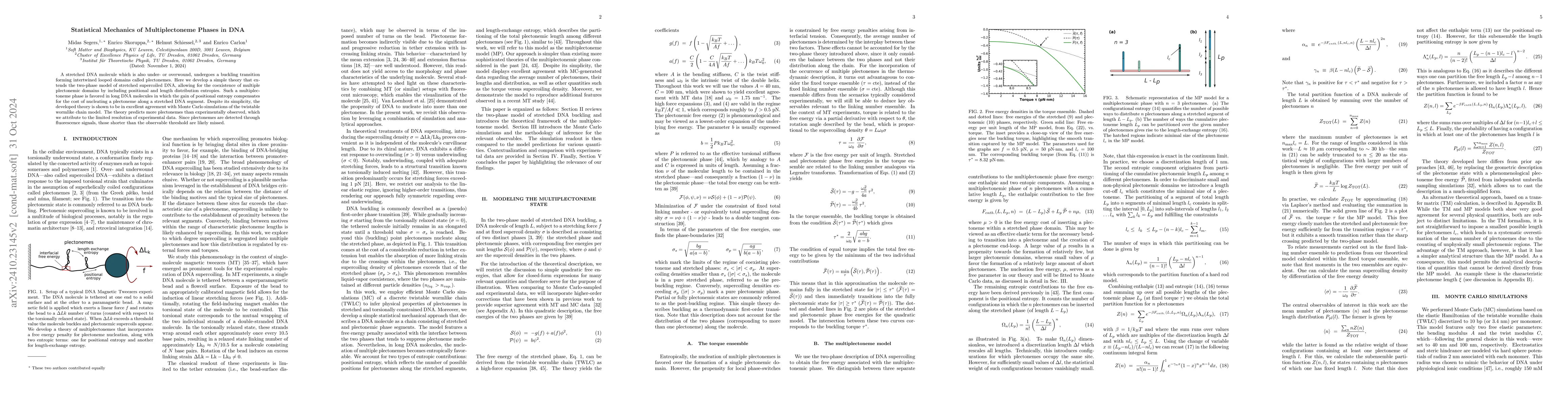 Thumbnail for Statistical Mechanics of Multiplectoneme Phases in DNA
