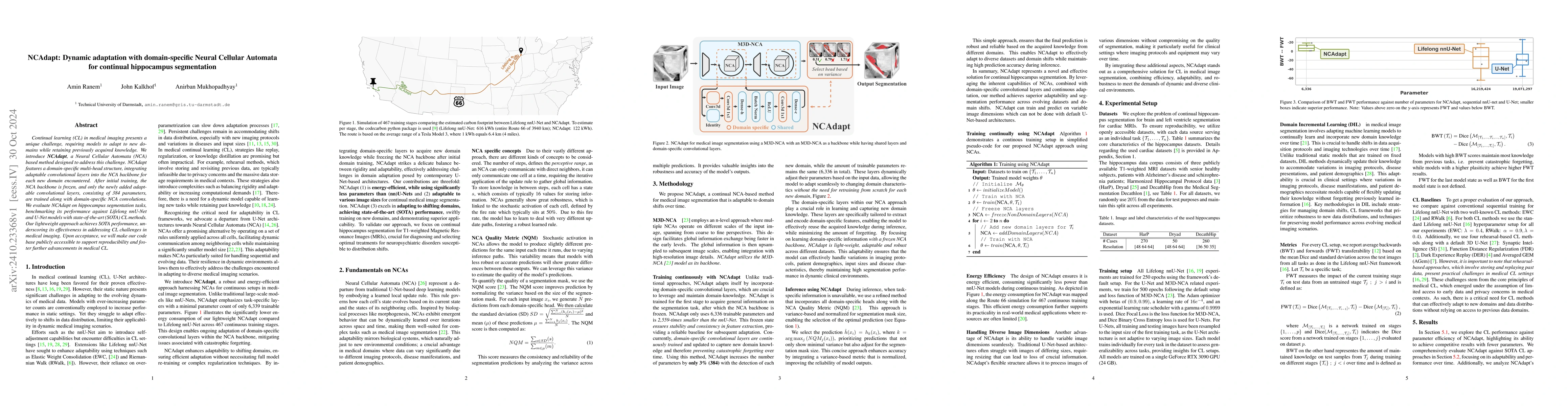 Thumbnail for NCAdapt: Dynamic adaptation with domain-specific Neural Cellular
  Automata for continual hippocampus segmentation