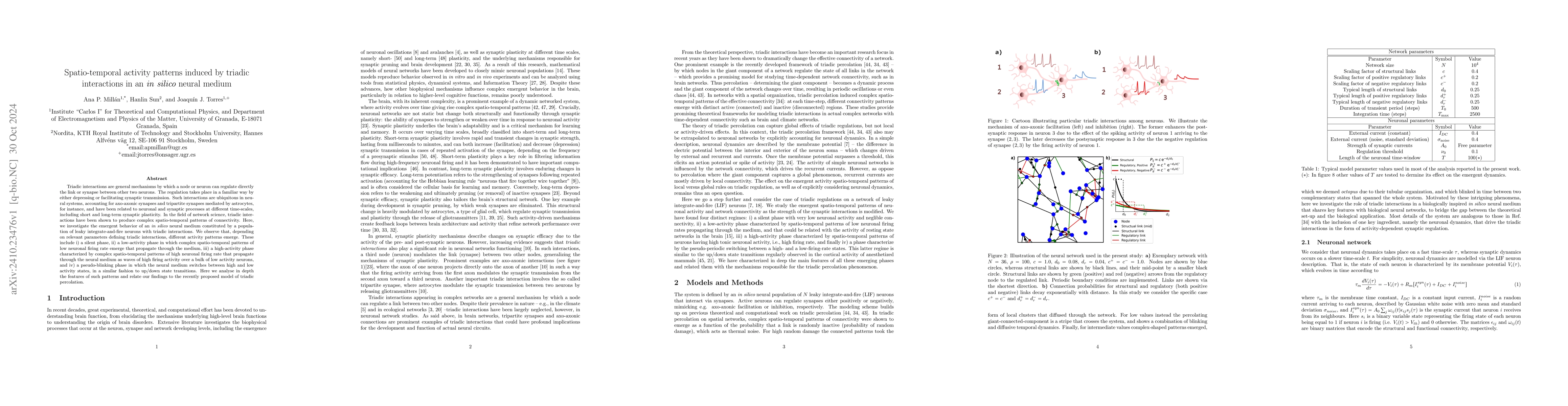 Thumbnail for Spatio-temporal activity patterns induced by triadic interactions in an
  in silico neural medium