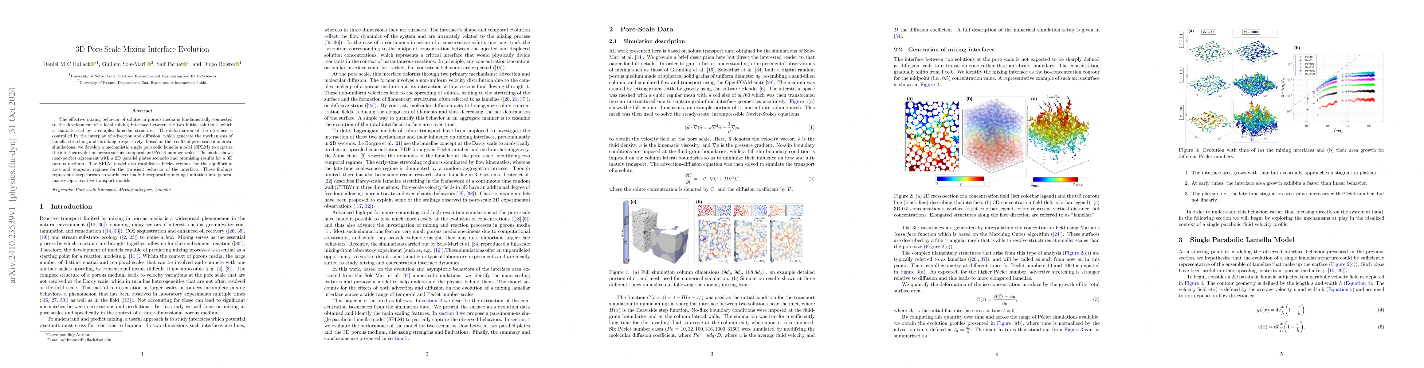 Thumbnail for 3D Pore-Scale Mixing Interface Evolution